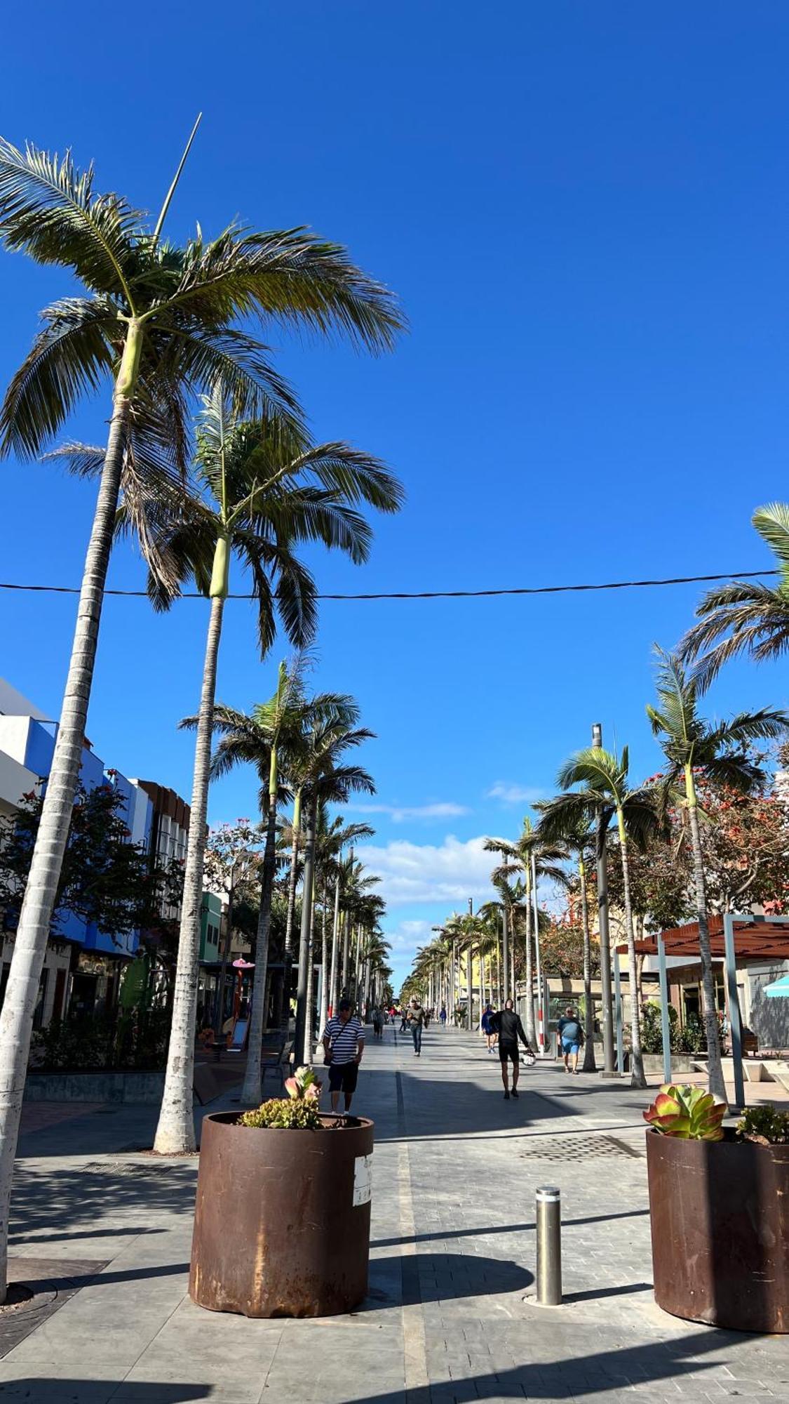 Mirame Canarias 维辛达里奥 外观 照片