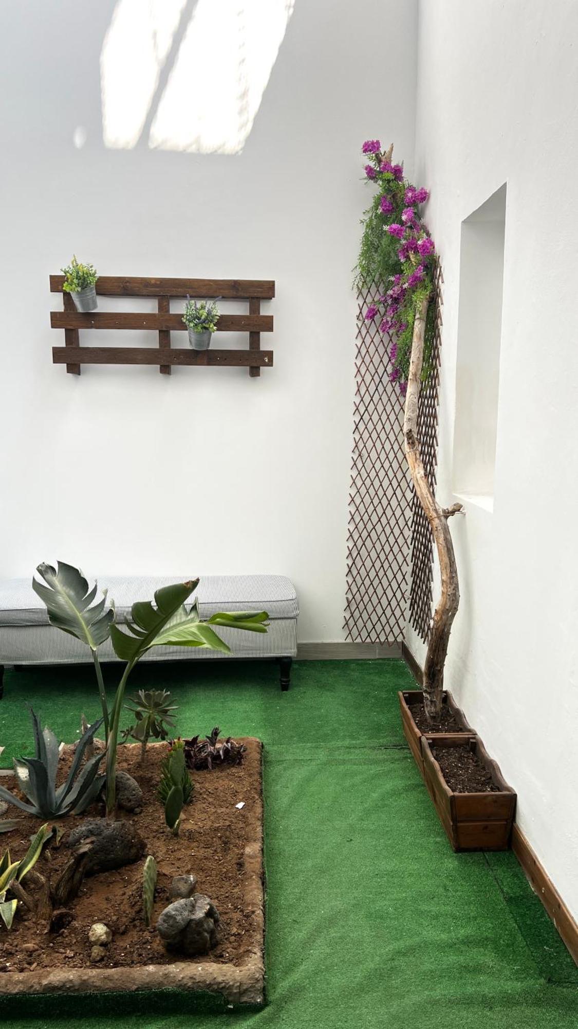 Mirame Canarias 维辛达里奥 外观 照片